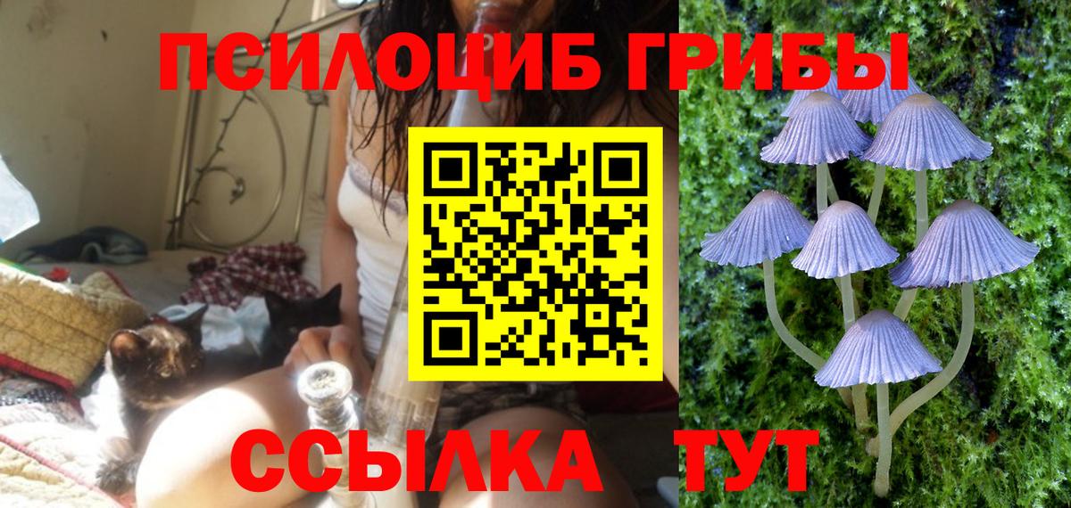 Псилоцибиновые грибы MAGIC MUSHROOMS Железноводск