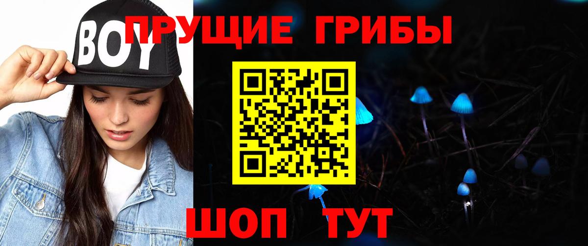 Псилоцибиновые грибы мицелий  Вход с VPN  Железноводск 